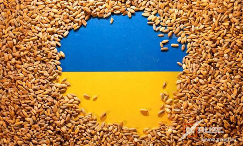 Зерно Украины дестабилизирует экономику Венгрии и Польши